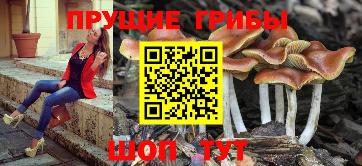 Псилоцибиновые грибы прущие грибы Лысьва